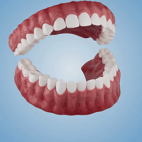 Nurbini™ Advanced Customized Full Denture Set