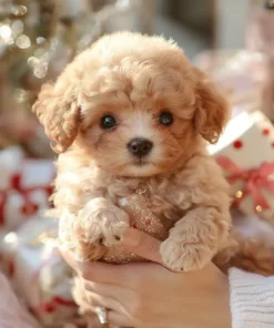 Jeremytis™ My Realistic Robot Puppy