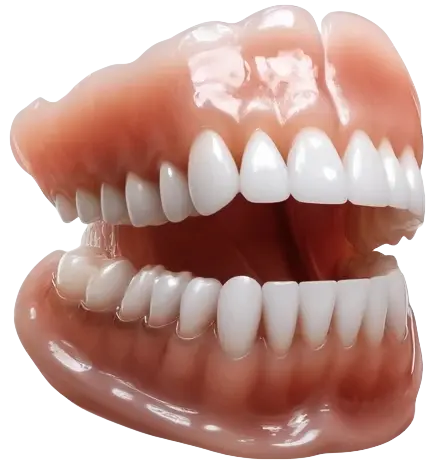 Natravor™ - Dentadura Premium