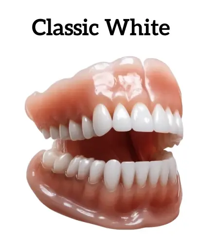 Neslemy™ - Premium Denture