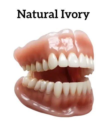 Neslemy™ - Premium Denture