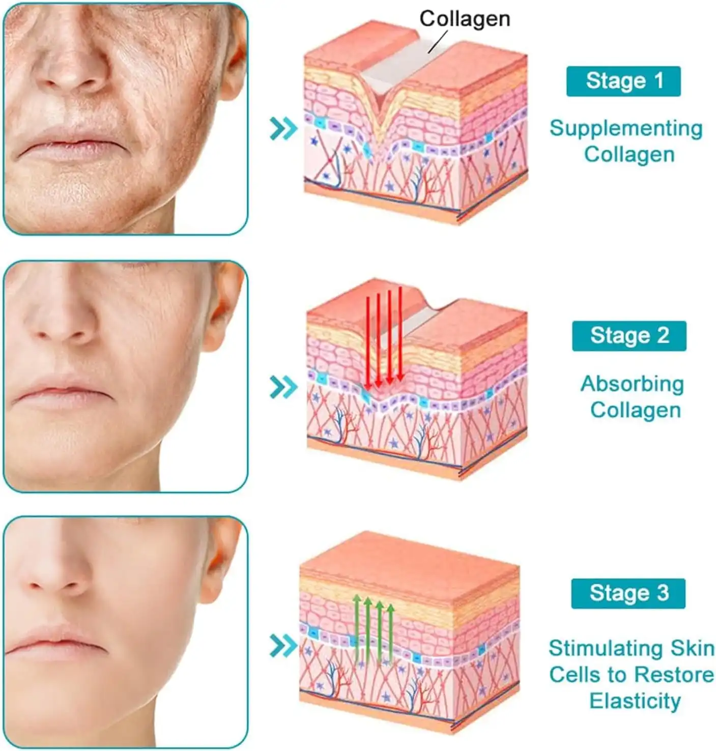 Australian Gold Elixir™ Bee Venom Revival Serum - Image 3