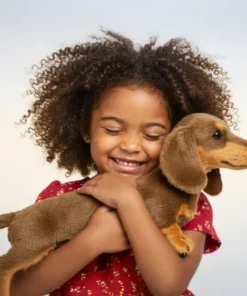 Daichy™ - Plush Toy, Your Forever Warm Companion