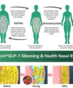 DiSyan® 𝐺𝐿𝑃-1 𝑆𝑙𝑖𝑚𝑚𝑖𝑛𝑔 & 𝐻𝑒𝑎𝑙𝑡ℎ 𝑁𝑎𝑠𝑎𝑙 𝑅𝑖𝑛𝑔