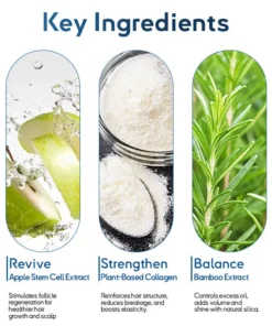 Rolimey® STEM Cell Hair Cycle Roller – Instantly Stops Hair Loss & Promotes Real Regrowth