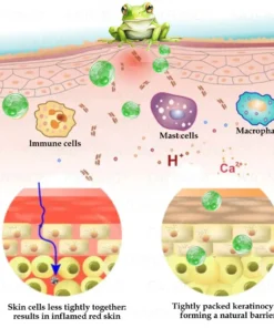 𝐹𝑎𝑡𝑜𝑛𝑔® 𝐹𝑟𝑜𝑔 𝑀𝑢𝑐𝑢𝑠 𝑆𝑘𝑖𝑛 𝑅𝑒𝑝𝑎𝑖𝑟 𝑆𝑝𝑟𝑎𝑦