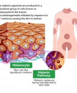 𝐹𝑎𝑡𝑜𝑛𝑔® 𝐹𝑟𝑜𝑔 𝑀𝑢𝑐𝑢𝑠 𝑆𝑘𝑖𝑛 𝑅𝑒𝑝𝑎𝑖𝑟 𝑆𝑝𝑟𝑎𝑦