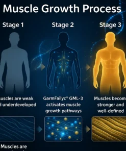 𝐆𝐚𝐫𝐦𝐅𝐚𝐢𝐥𝐲𝐜® 𝐆𝐌𝐋-𝟑 𝑺𝒊𝒙-𝒊𝒏-𝑶𝒏𝒆 𝑴𝒖𝒔𝒄𝒍𝒆 𝑮𝒓𝒐𝒘𝒕𝒉 𝑶𝒓𝒂𝒍 𝑺𝒐𝒍𝒖𝒕𝒊𝒐𝒏