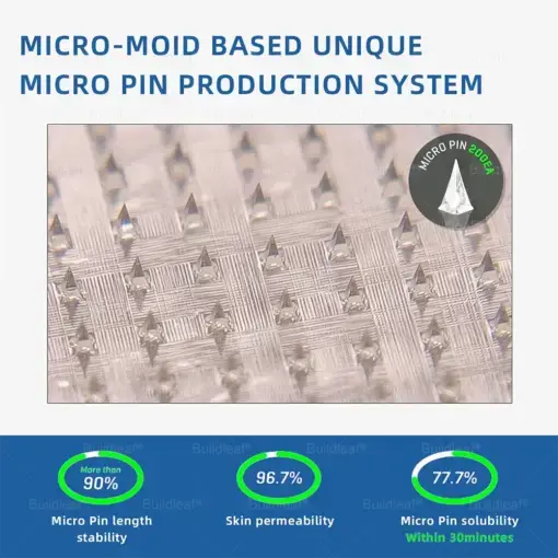 Nano-Microneedle Patch