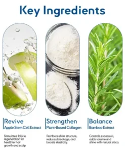 STEM Cell Hair Cycle Roller