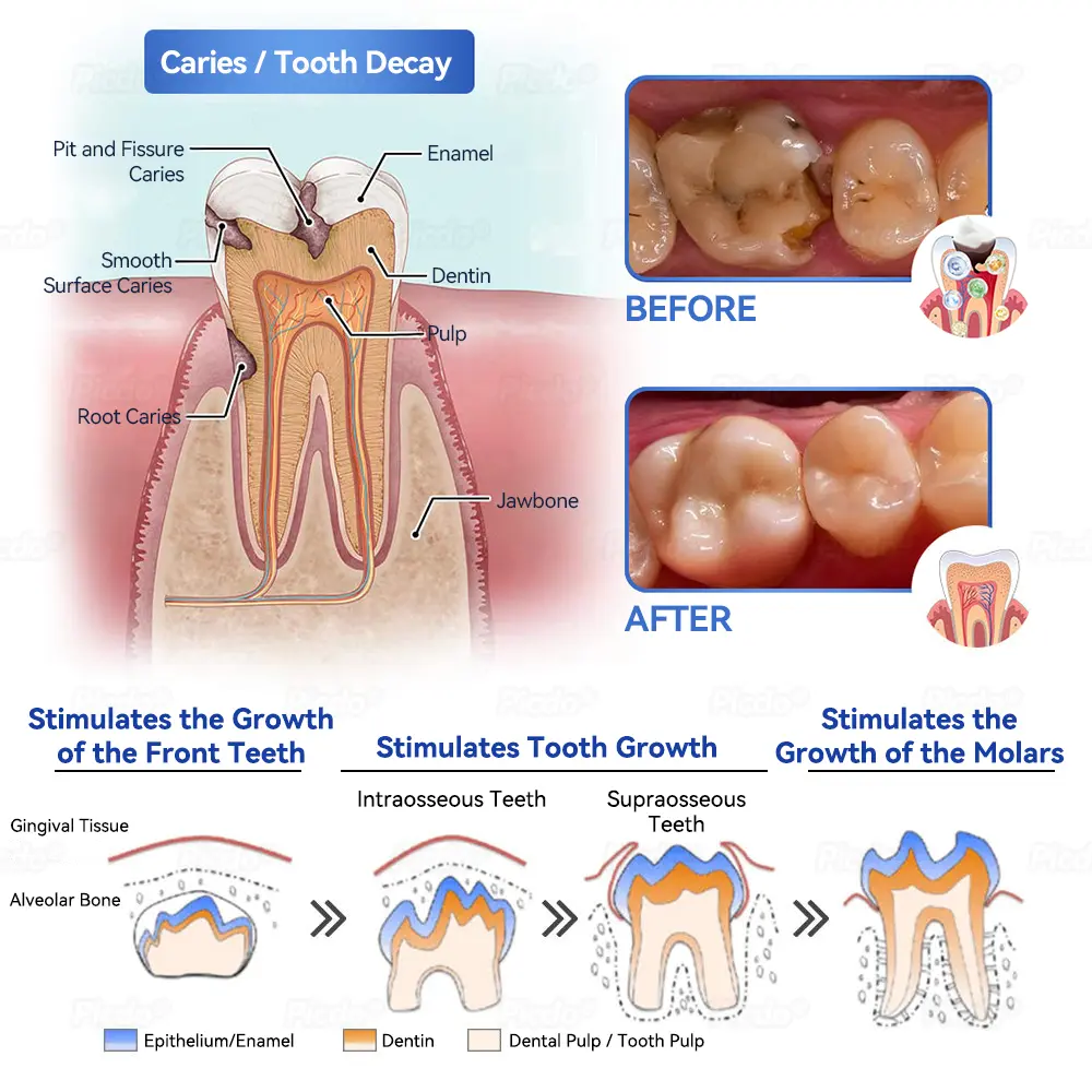 ๐๐๐๐๐ยฎ ๐๐ก๐๐ ๐ถ๐๐๐ ๐บ๐๐๐๐๐ฃ๐๐ ๐
๐๐๐๐๐ ๐๐๐ข๐ ๐ ๐