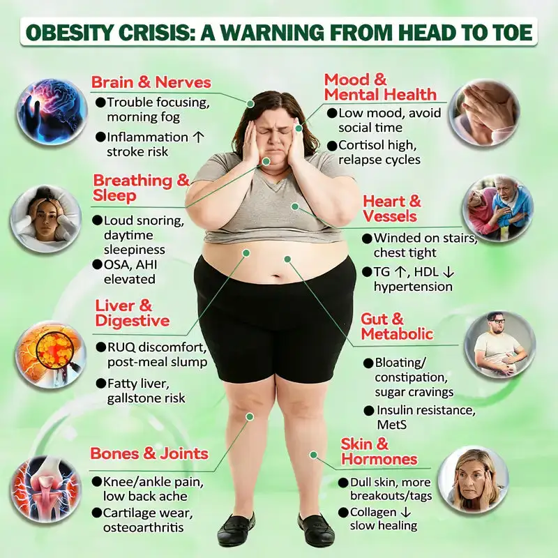 ๐๐-๐ข๐ง-๐ ๐๐๐ฏ๐๐ง๐๐๐ ๐๐๐ง๐จ ๐๐ข๐๐ซ๐จ๐ง๐๐๐๐ฅ๐ ๐๐๐ญ๐๐ก - Image 4